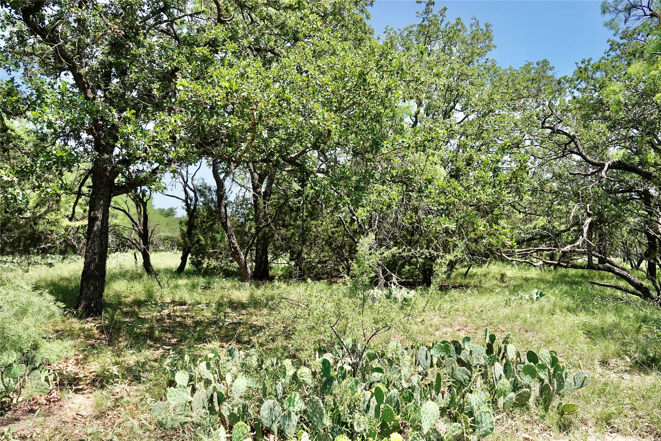 267 Cr 112 Goldthwaite TX 76844