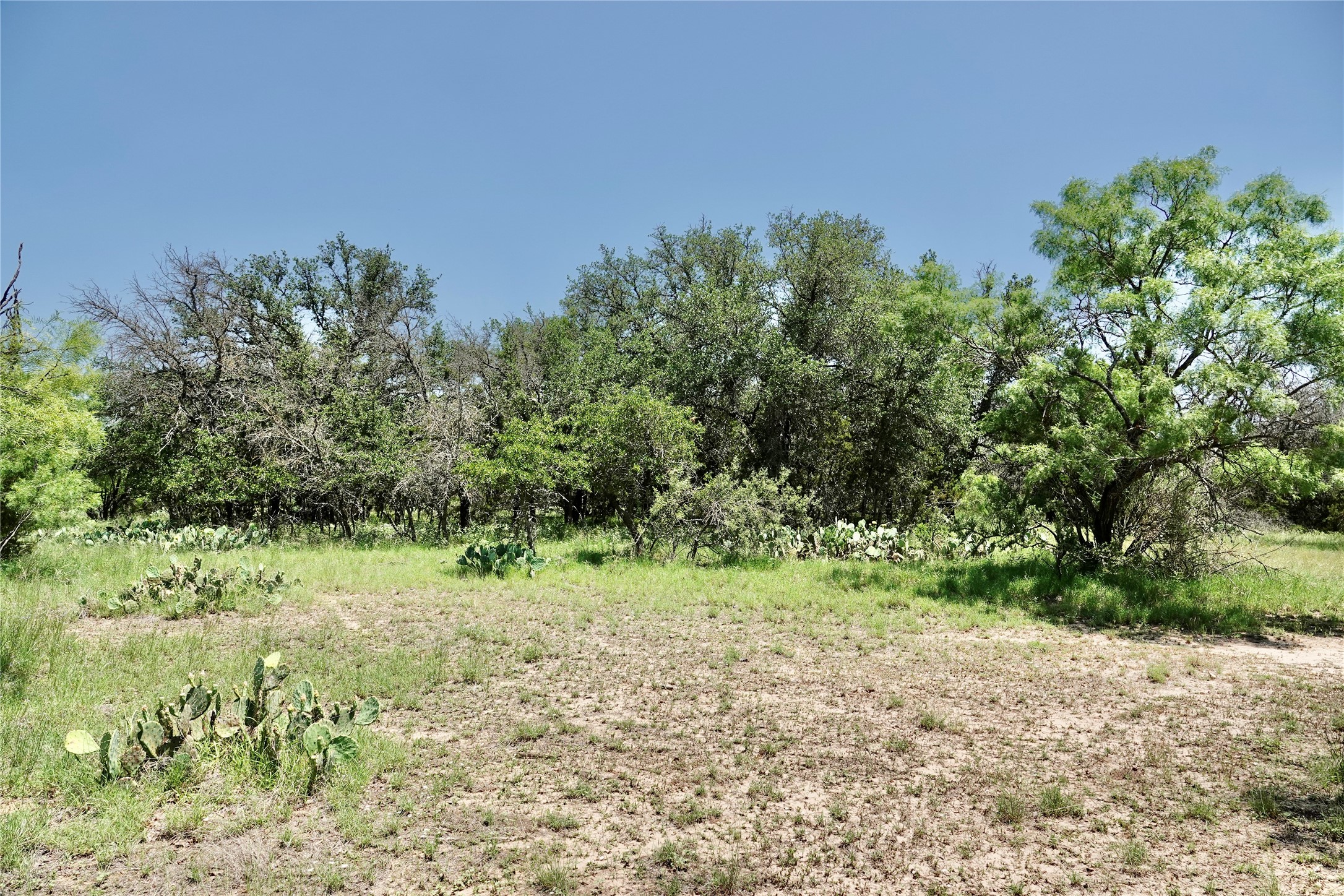 267 Cr 112 Goldthwaite TX 76844