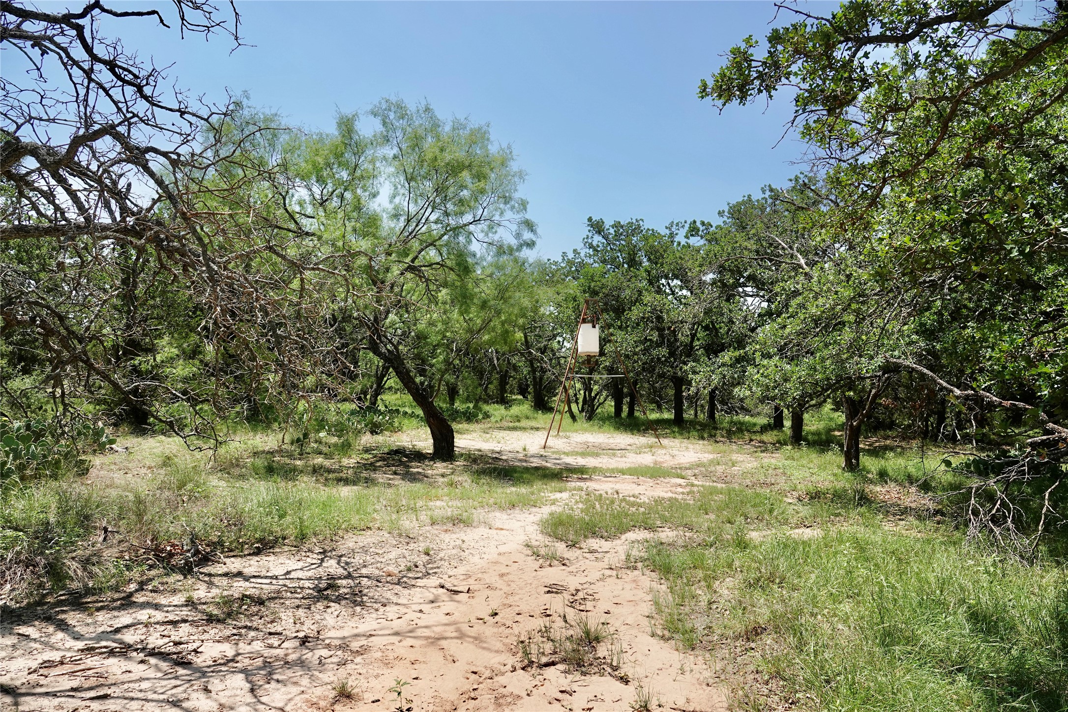 267 Cr 112 Goldthwaite TX 76844
