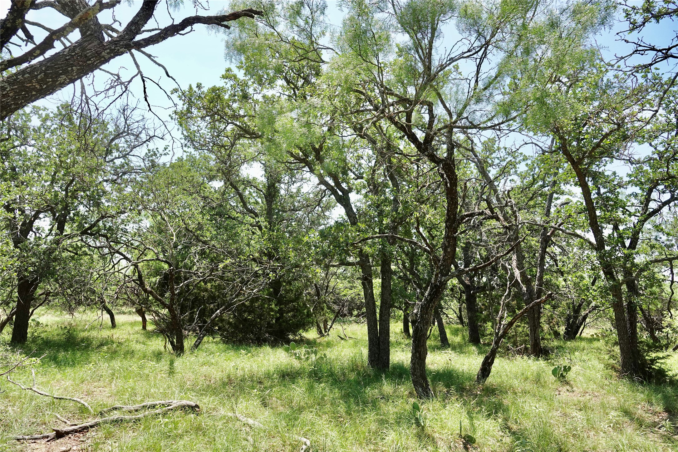 267 Cr 112 Goldthwaite TX 76844