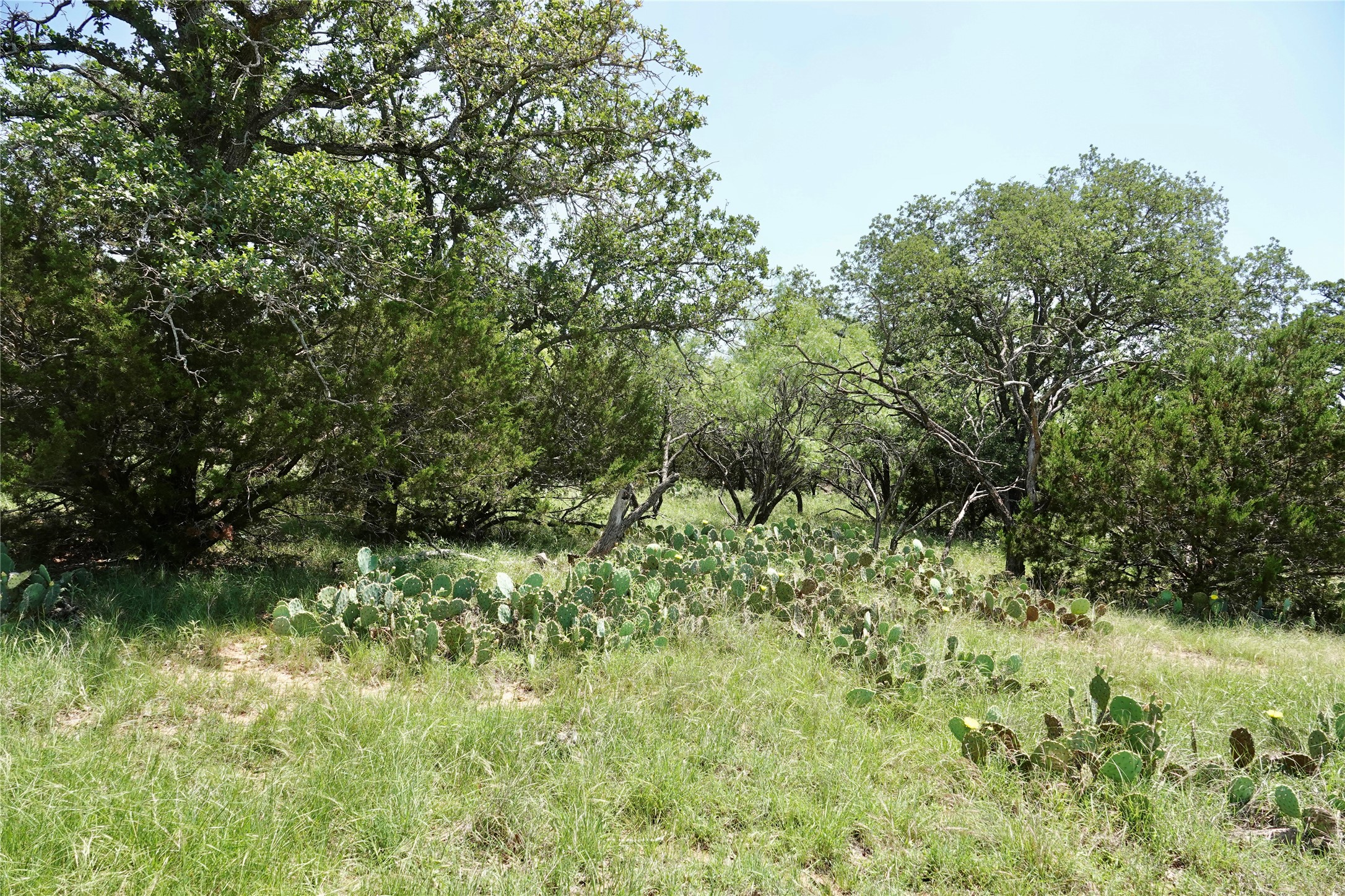 267 Cr 112 Goldthwaite TX 76844