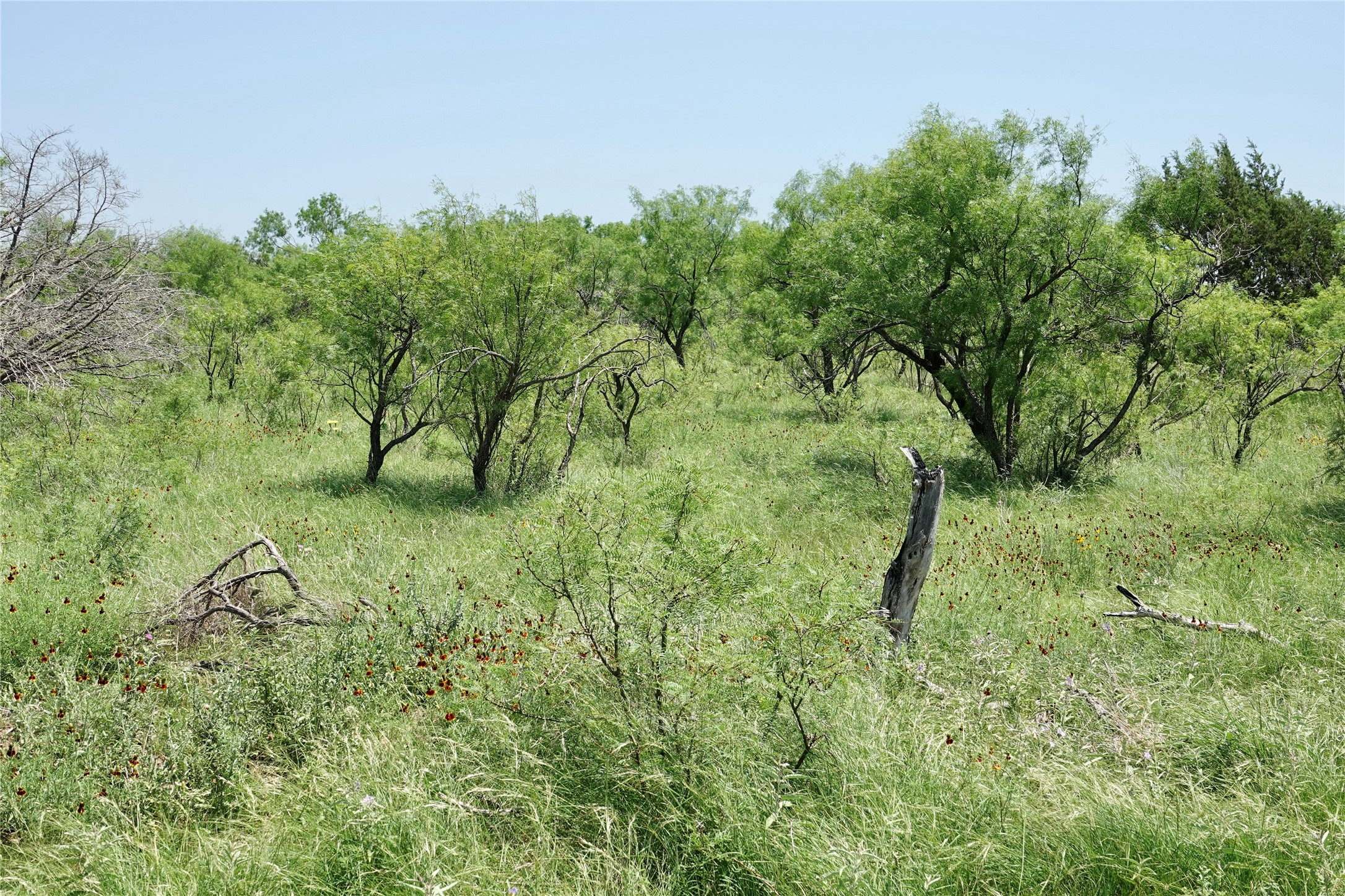 267 Cr 112 Goldthwaite TX 76844