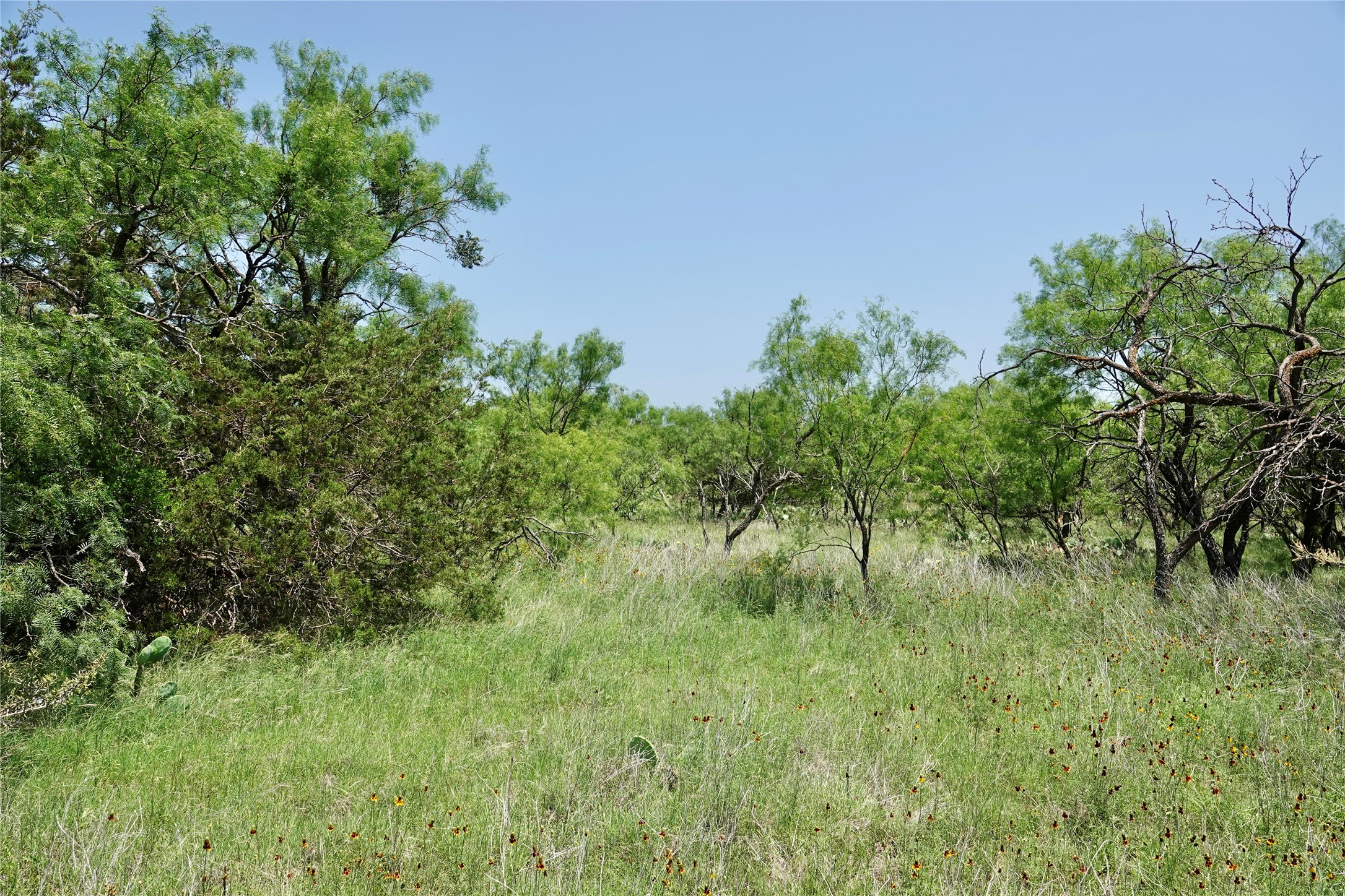 267 Cr 112 Goldthwaite TX 76844