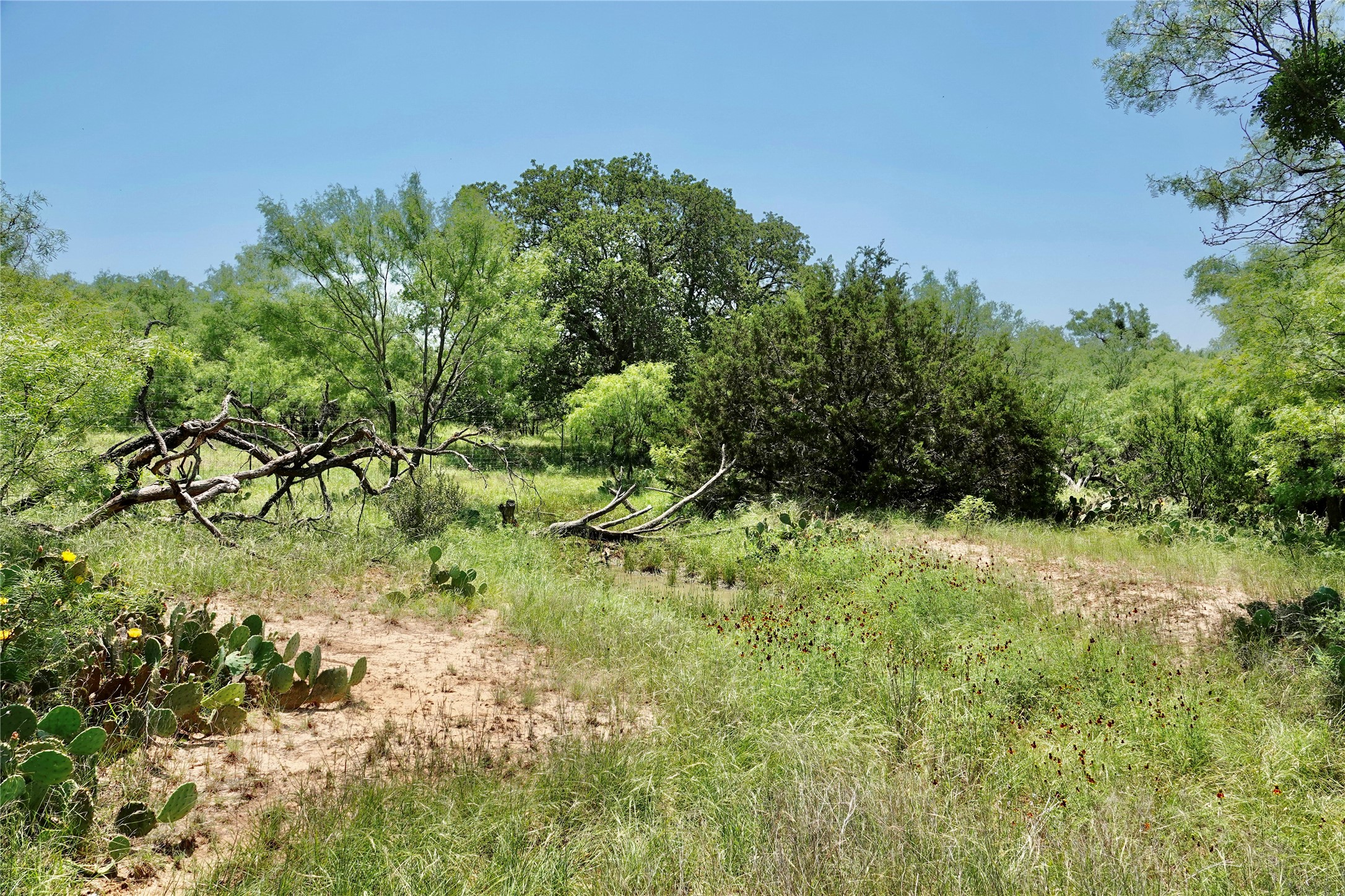 267 Cr 112 Goldthwaite TX 76844