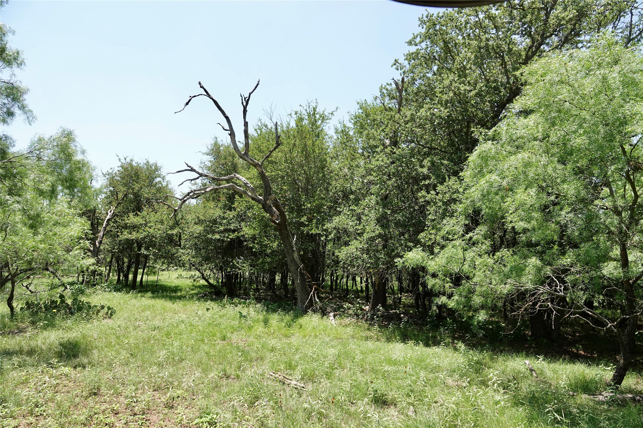 267 Cr 112 Goldthwaite TX 76844