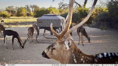 267 Cr 112 Goldthwaite TX 76844