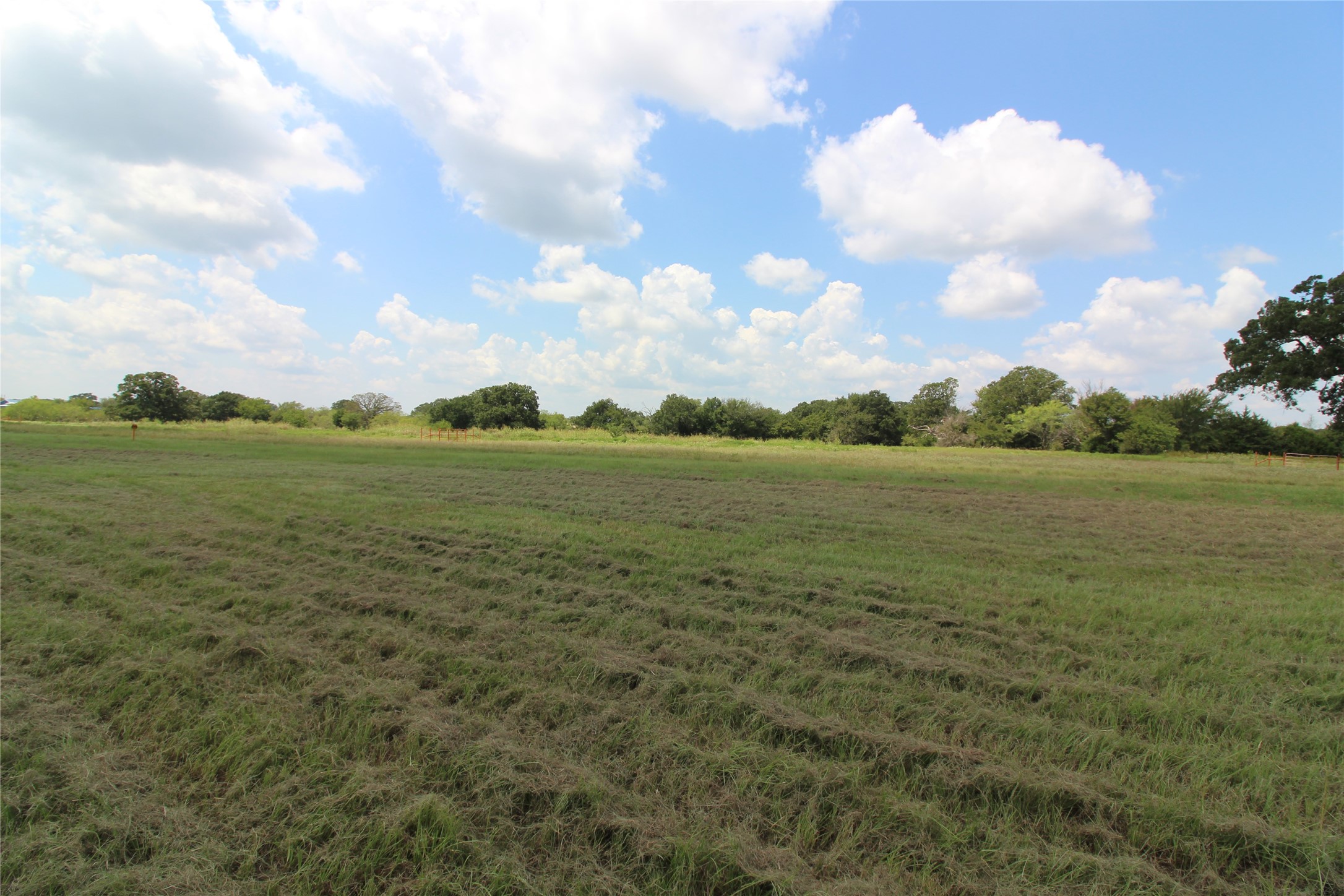 Tbd County Road 4065 Scurry TX 75158