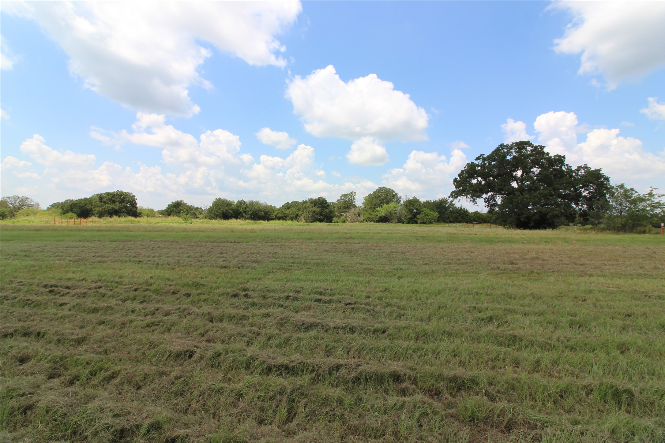 Tbd County Road 4065 Scurry TX 75158