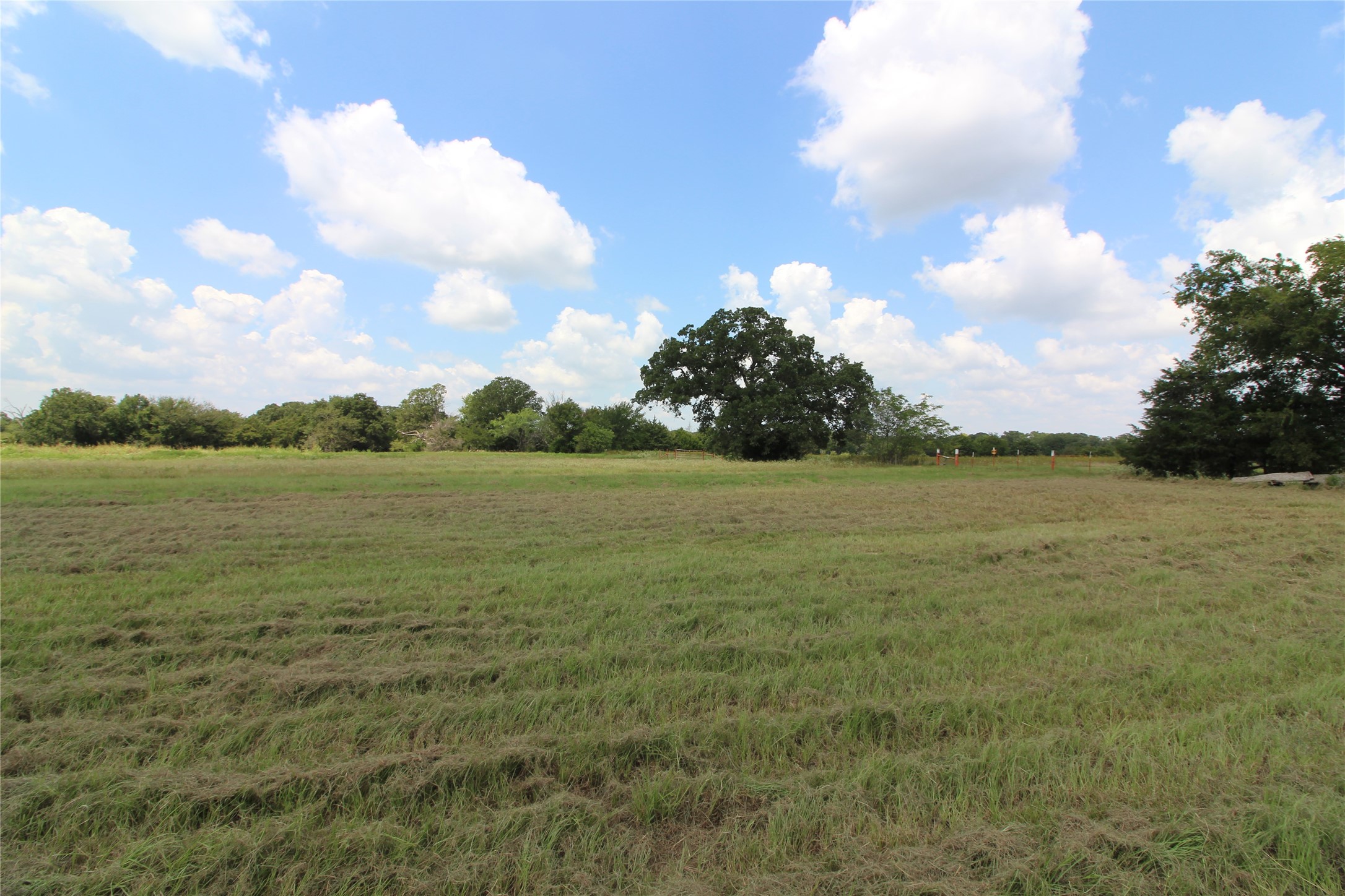 Tbd County Road 4065 Scurry TX 75158
