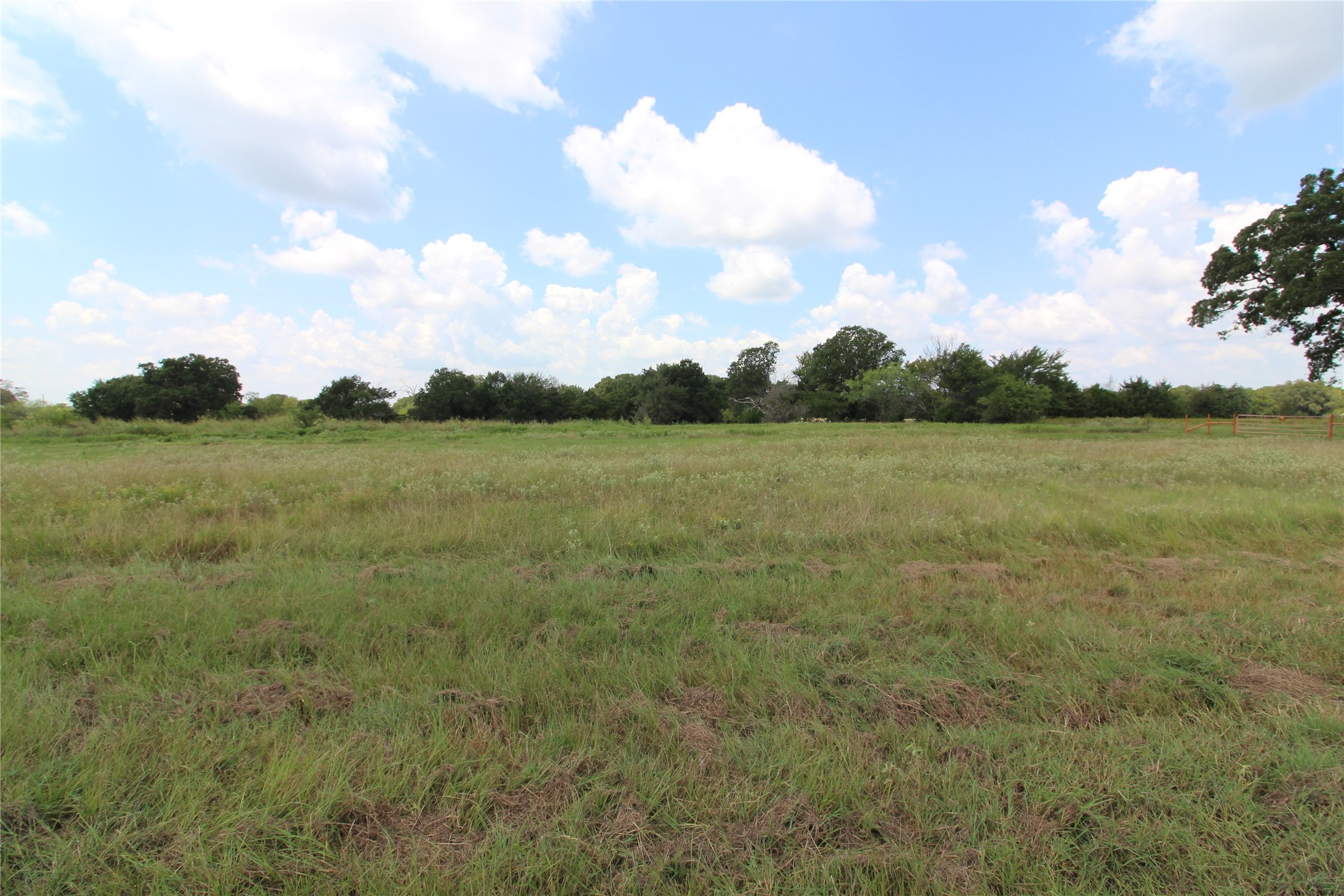 Tbd County Road 4065 Scurry TX 75158