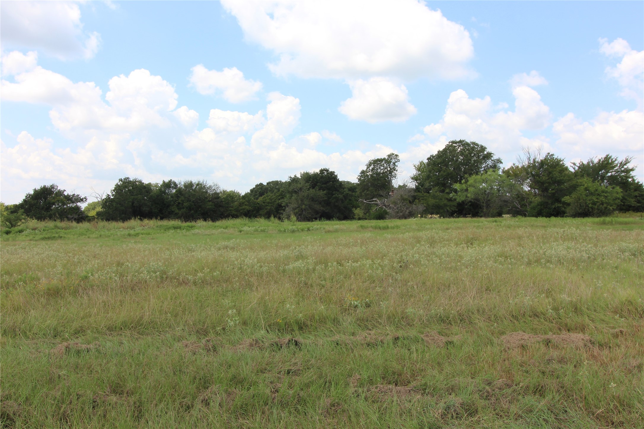 Tbd County Road 4065 Scurry TX 75158