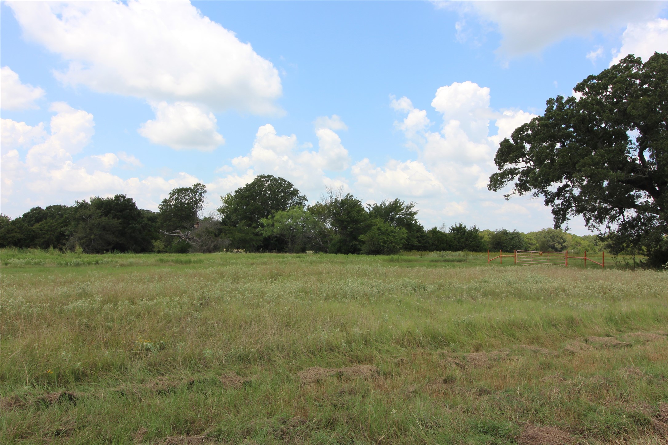 Tbd County Road 4065 Scurry TX 75158