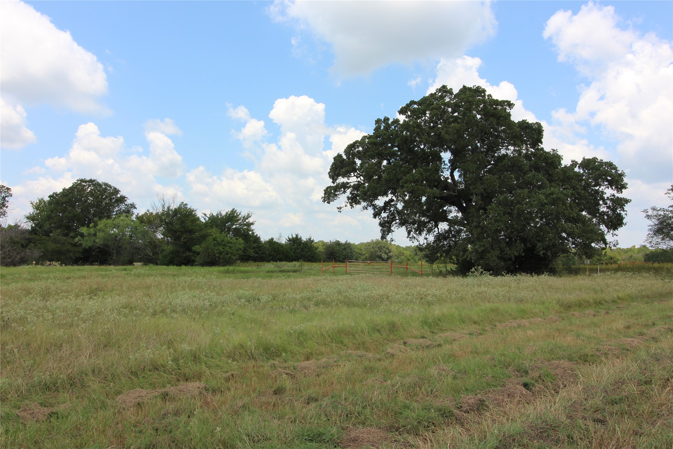 Tbd County Road 4065 Scurry TX 75158