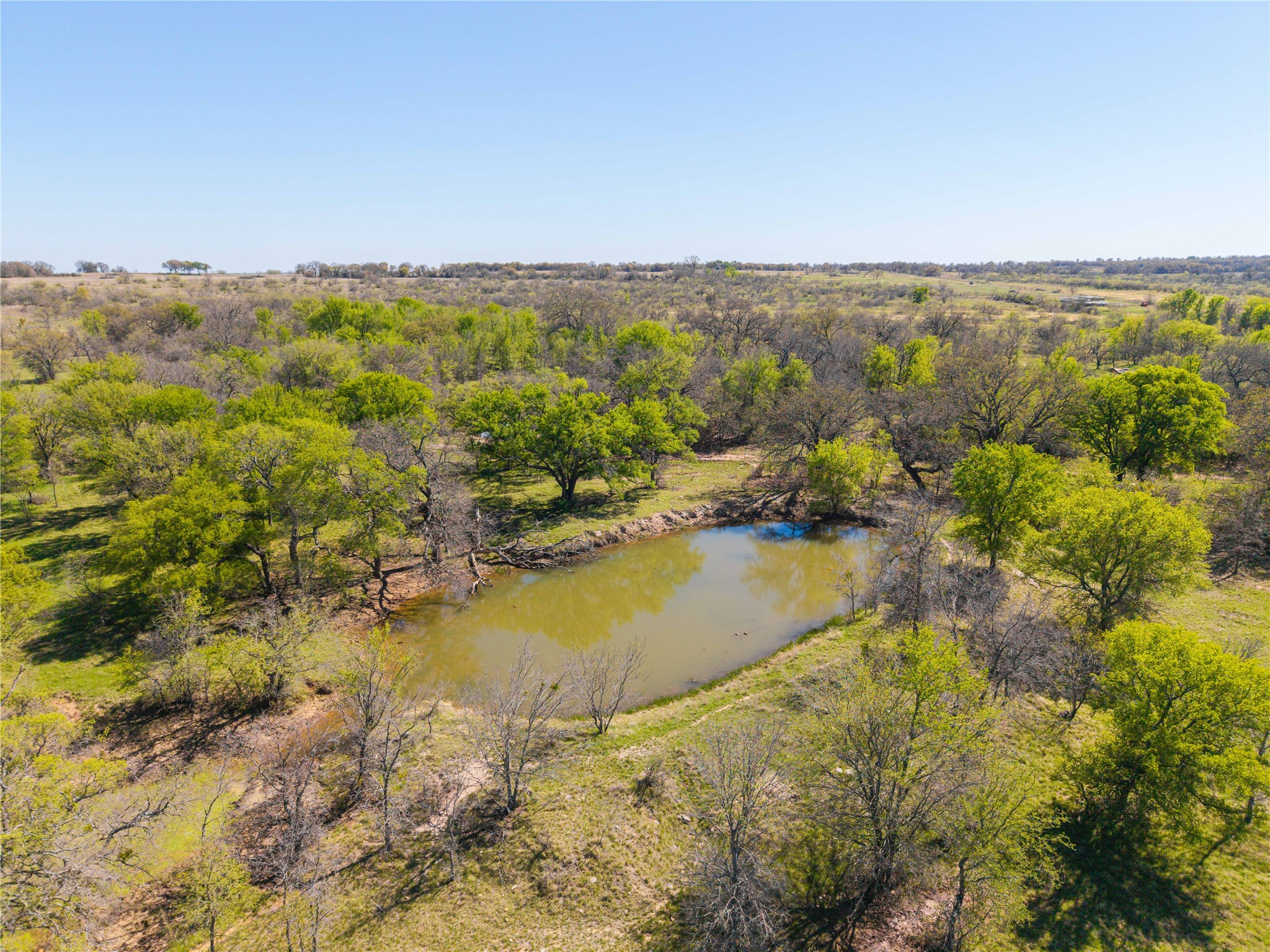 Tbd 20 Acres Cr 186 Gorman TX 76454