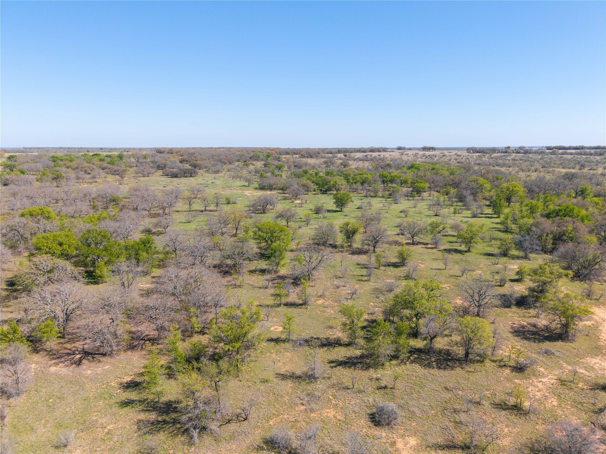 Tbd 20 Acres Cr 186 Gorman TX 76454