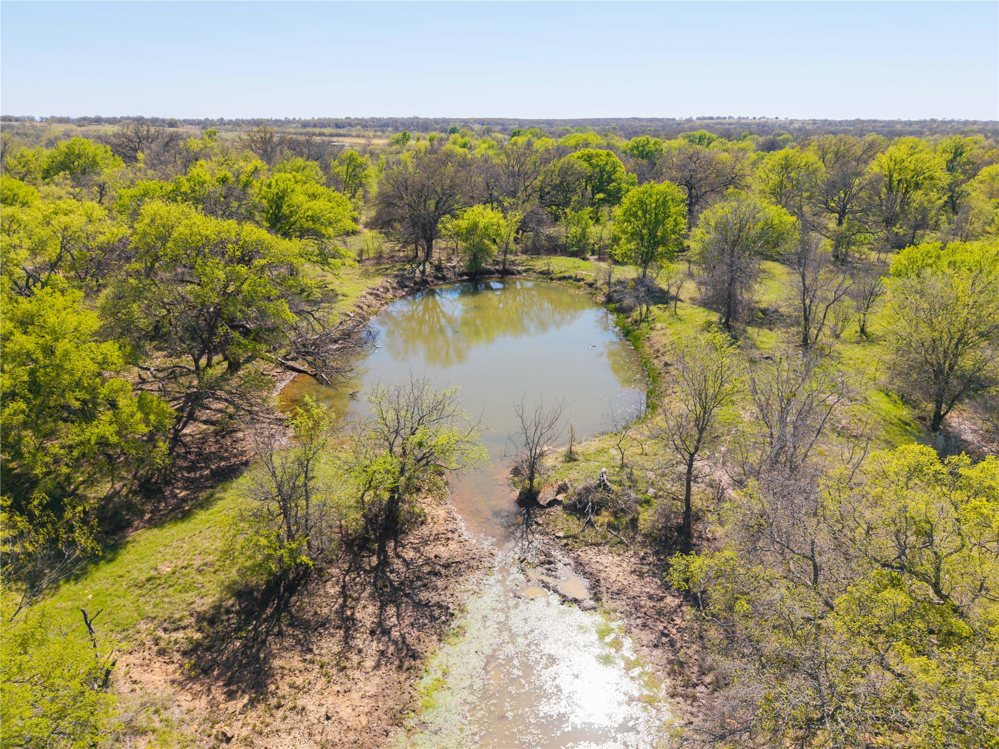 Tbd 20 Acres Cr 186 Gorman TX 76454