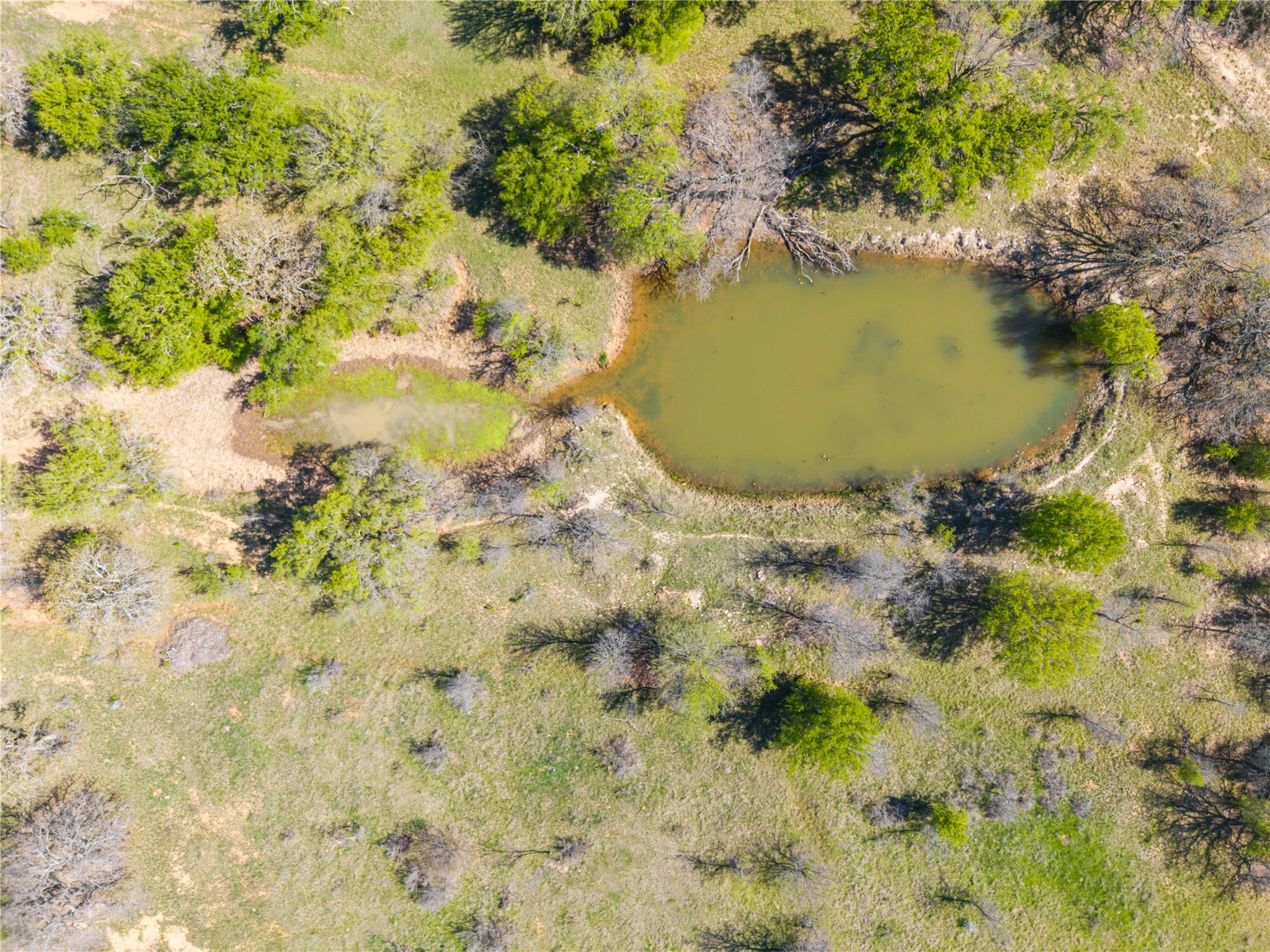 Tbd 20 Acres Cr 186 Gorman TX 76454