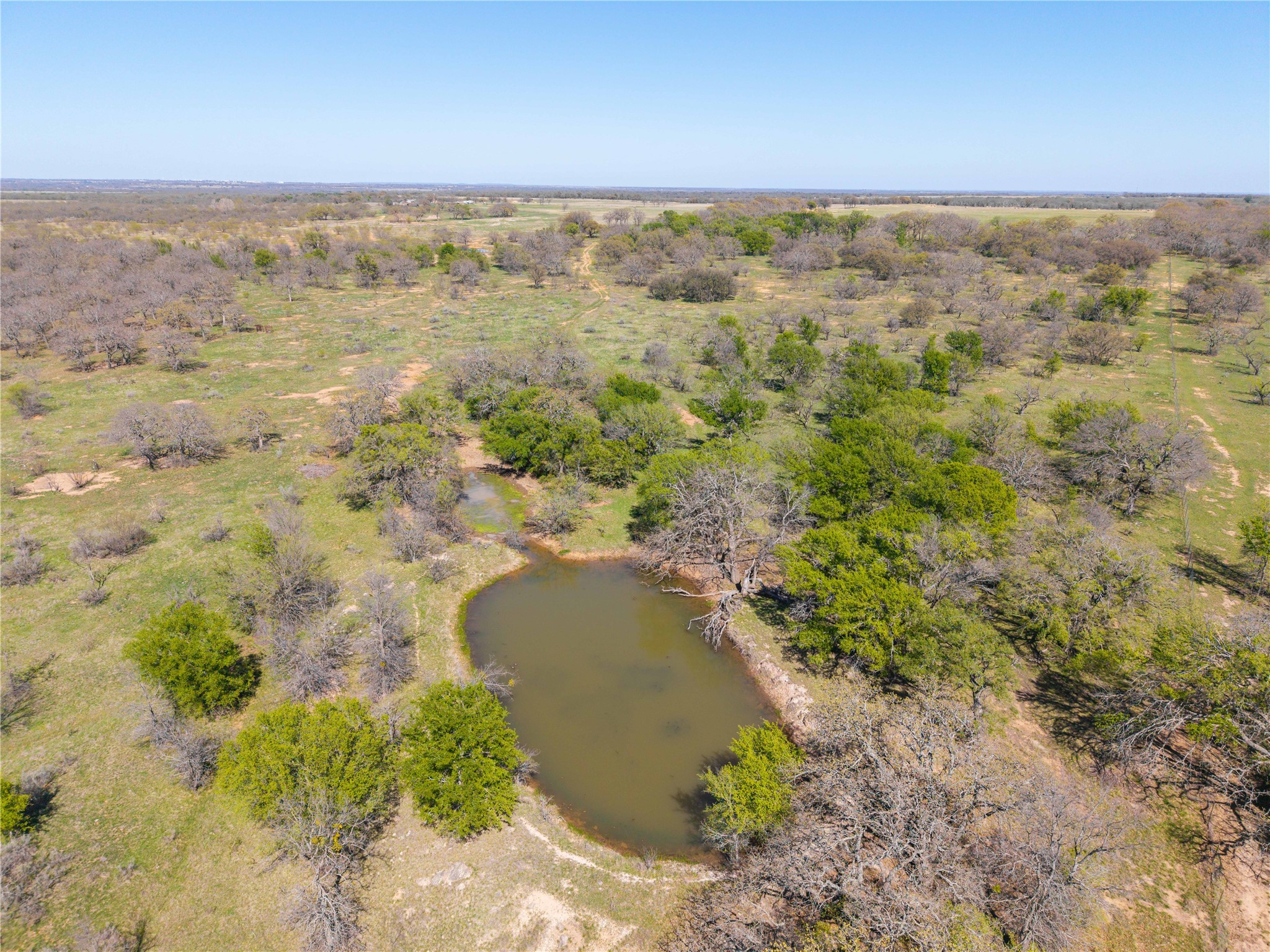 Tbd 20 Acres Cr 186 Gorman TX 76454