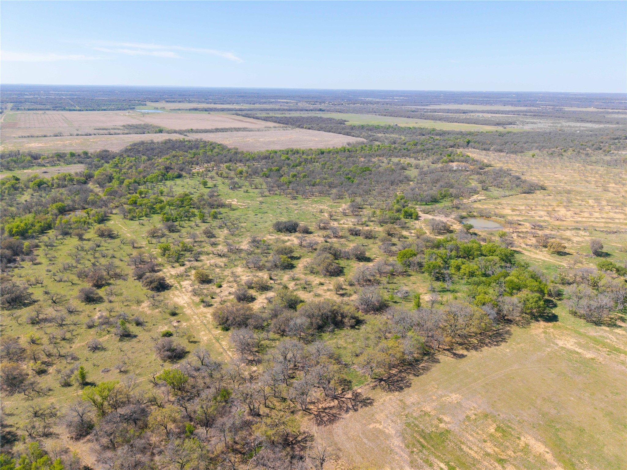 Tbd 20 Acres Cr 186 Gorman TX 76454