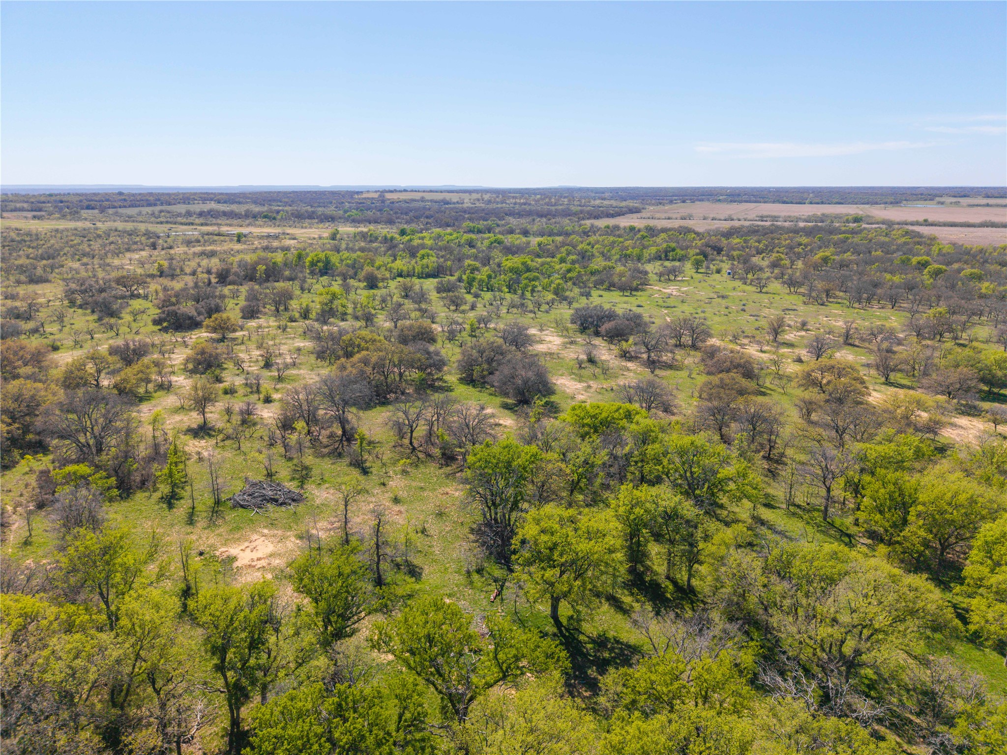 Tbd 20 Acres Cr 186 Gorman TX 76454