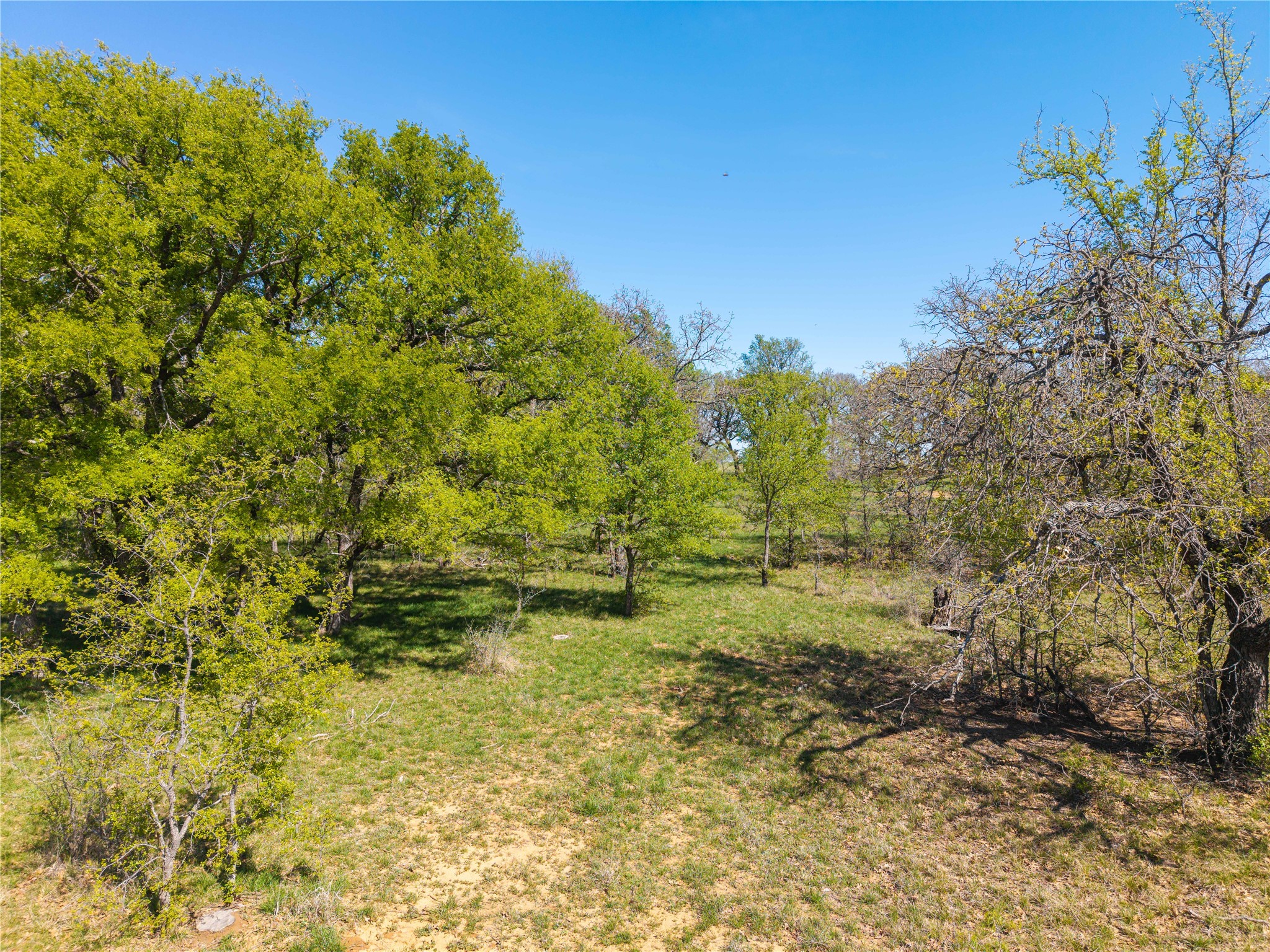 Tbd 20 Acres Cr 186 Gorman TX 76454