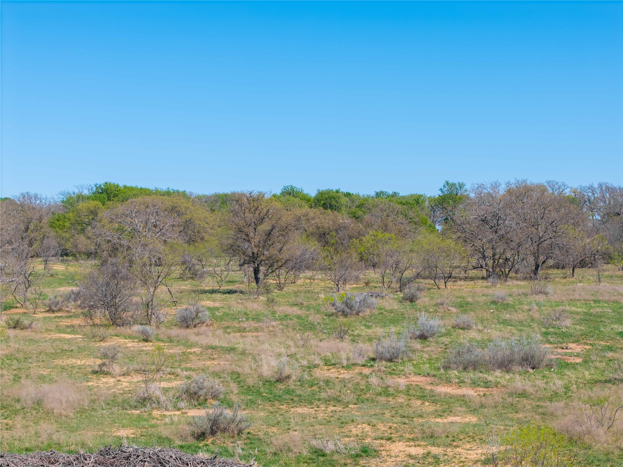 Tbd 20 Acres Cr 186 Gorman TX 76454