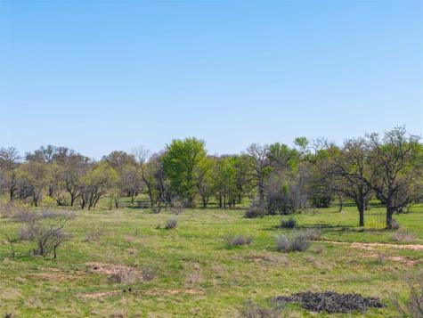 TBD 20 Acres Cr 186 Gorman TX 76454