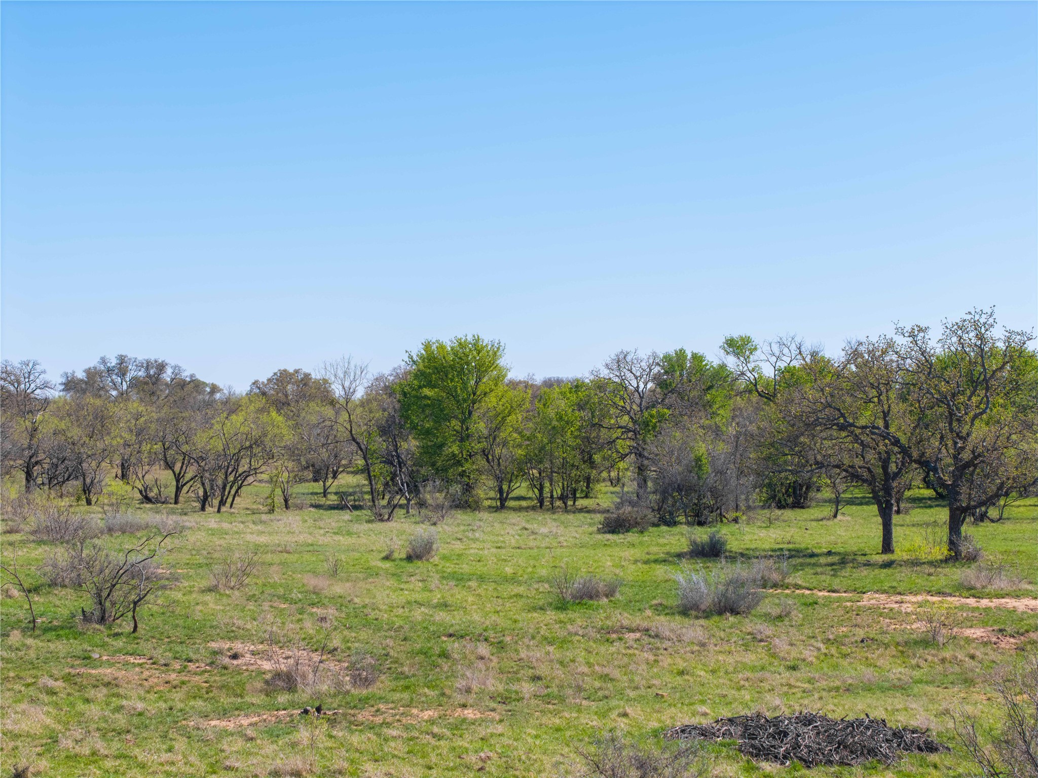 Tbd 20 Acres Cr 186 Gorman TX 76454