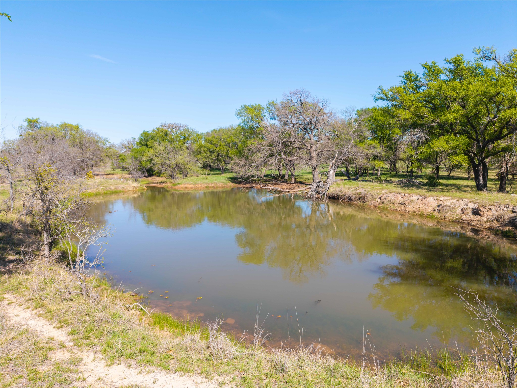 Tbd 20 Acres Cr 186 Gorman TX 76454