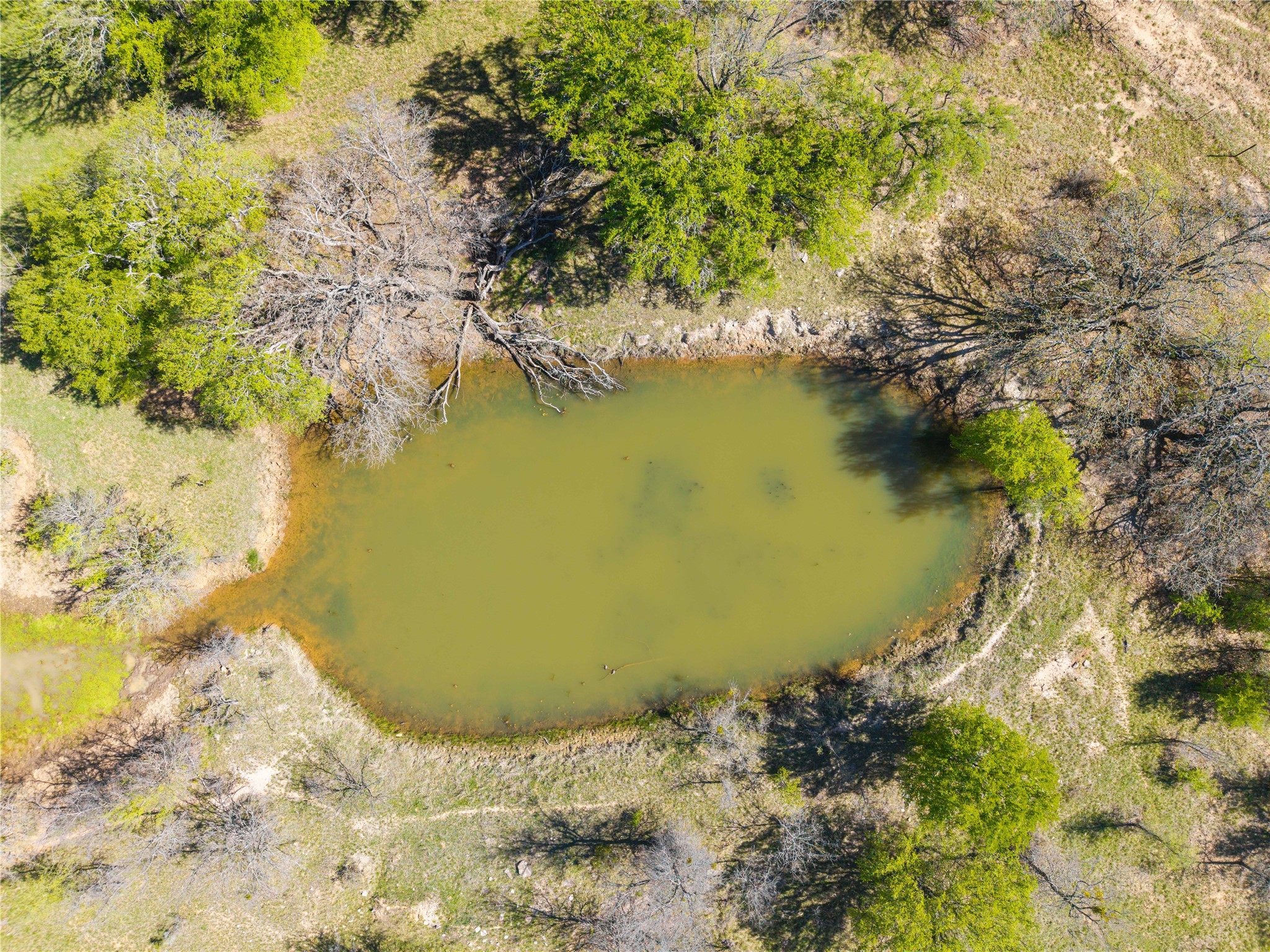 Tbd 20 Acres Cr 186 Gorman TX 76454