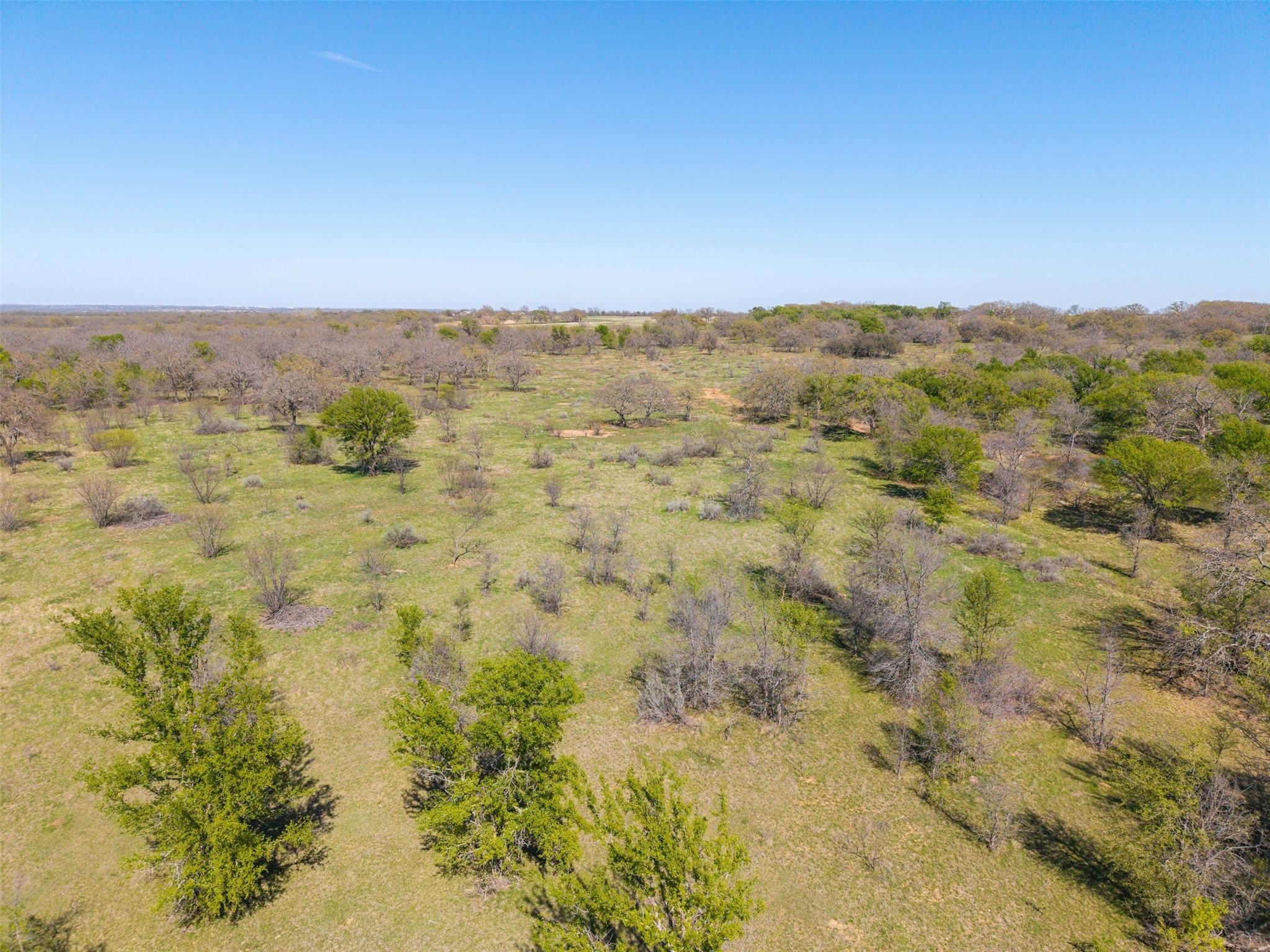 Tbd 20 Acres Cr 186 Gorman TX 76454