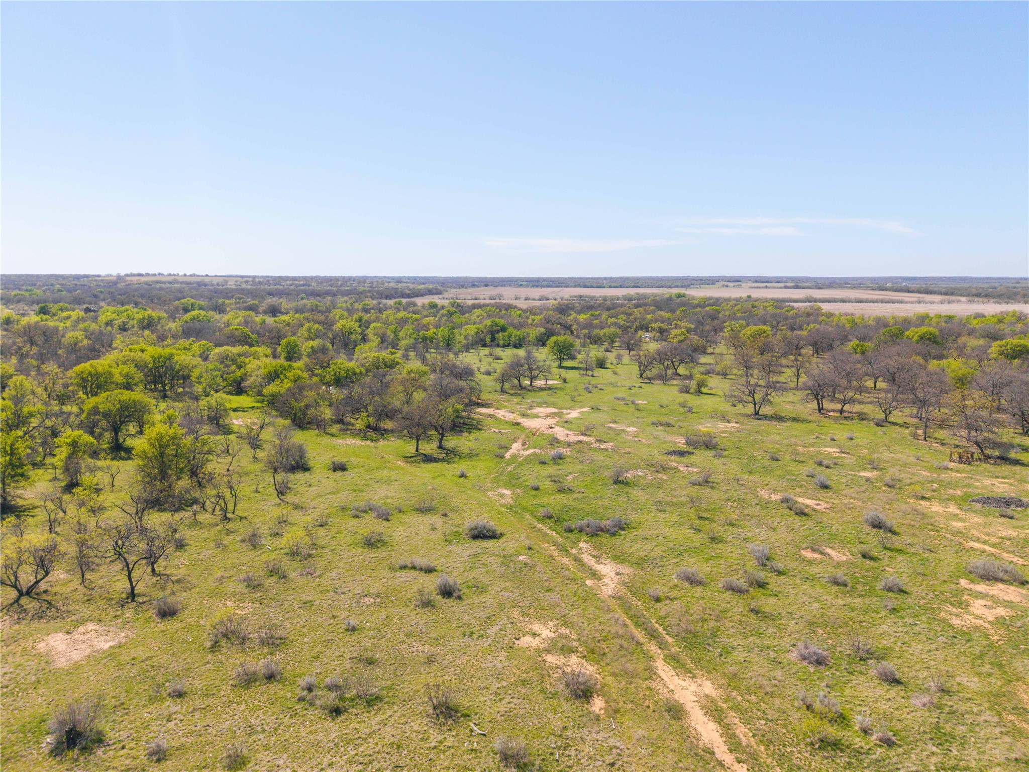 Tbd 20 Acres Cr 186 Gorman TX 76454