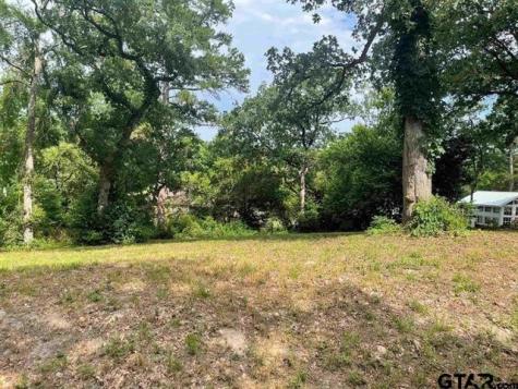 309 Harmony Lane Hideaway TX 75771