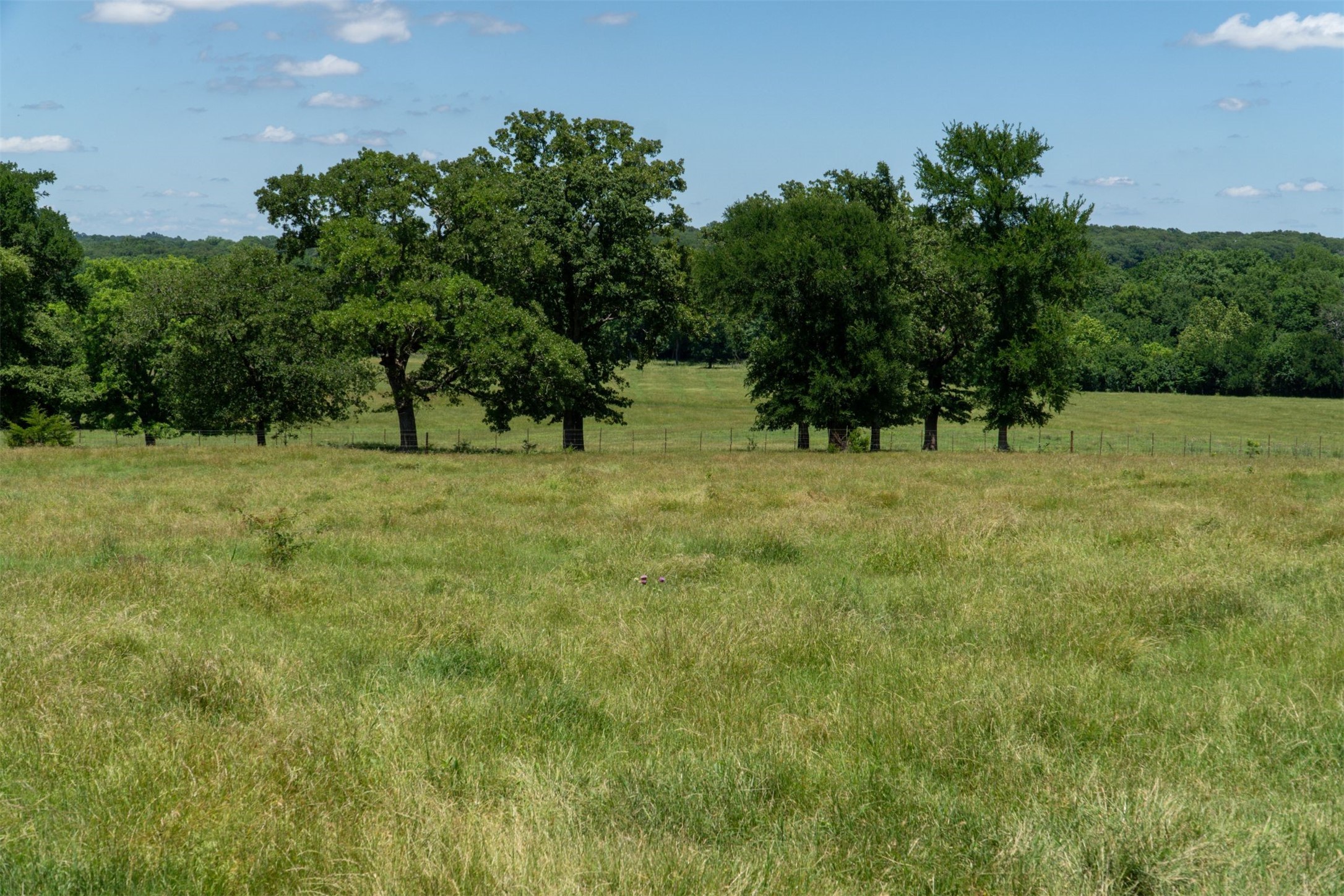 248 Shaffer Road Denison TX 75021