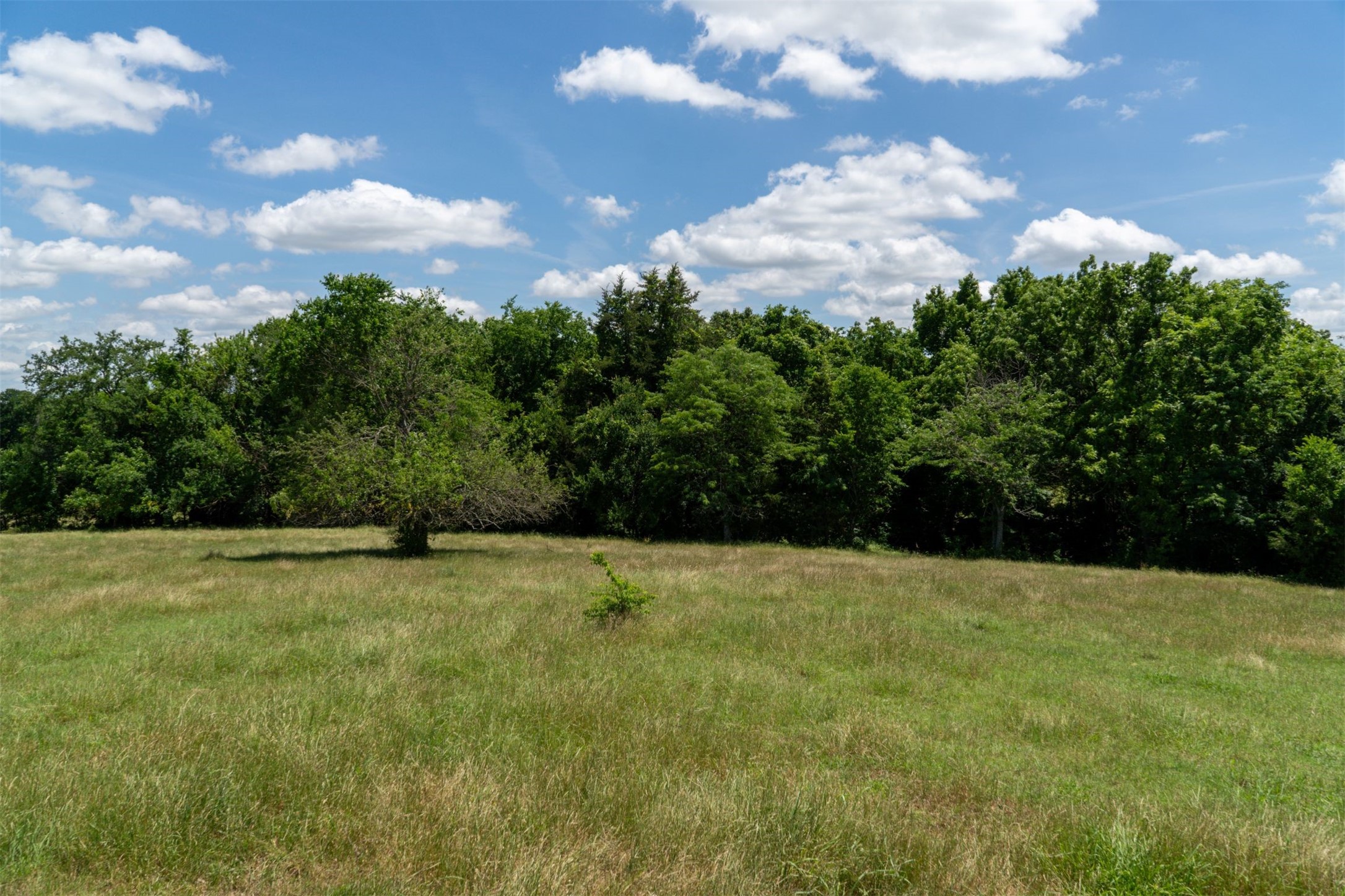 248 Shaffer Road Denison TX 75021