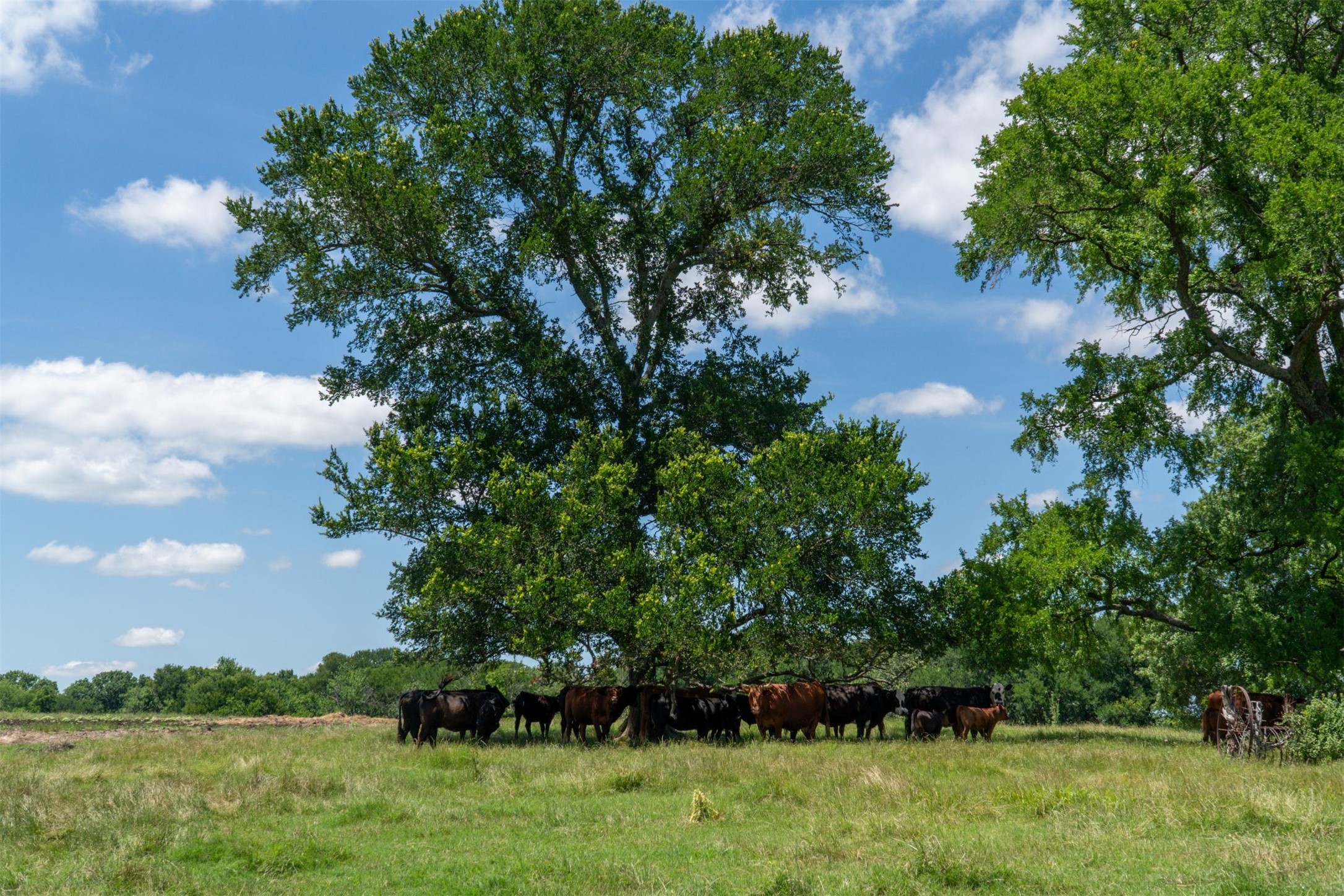248 Shaffer Road Denison TX 75021