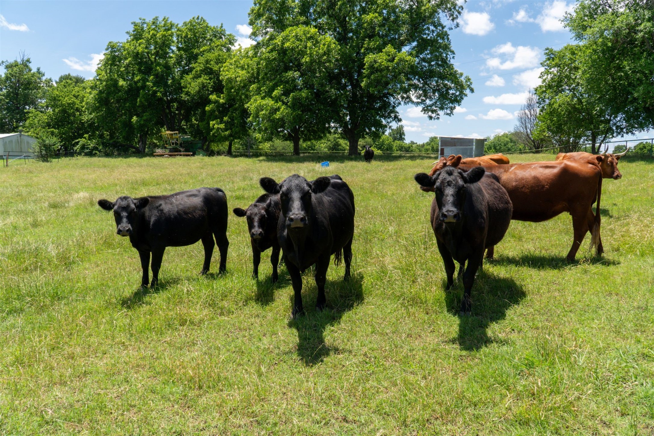 248 Shaffer Road Denison TX 75021