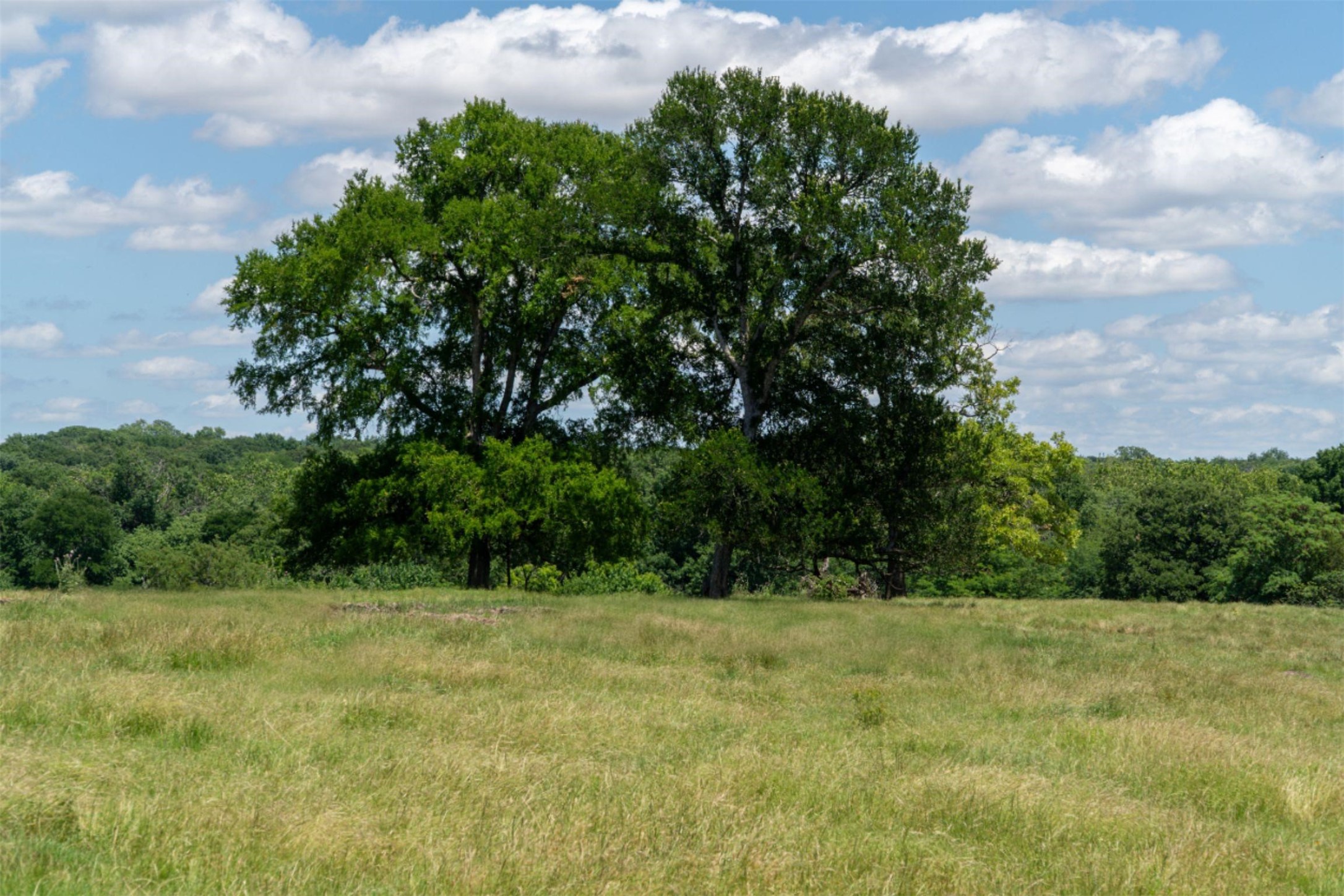 248 Shaffer Road Denison TX 75021