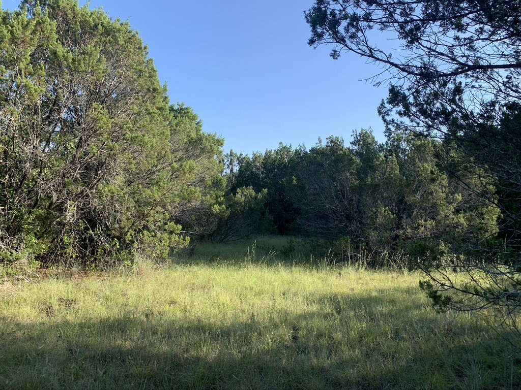 Tbd Mariner Valley Bluff Dale TX 76433