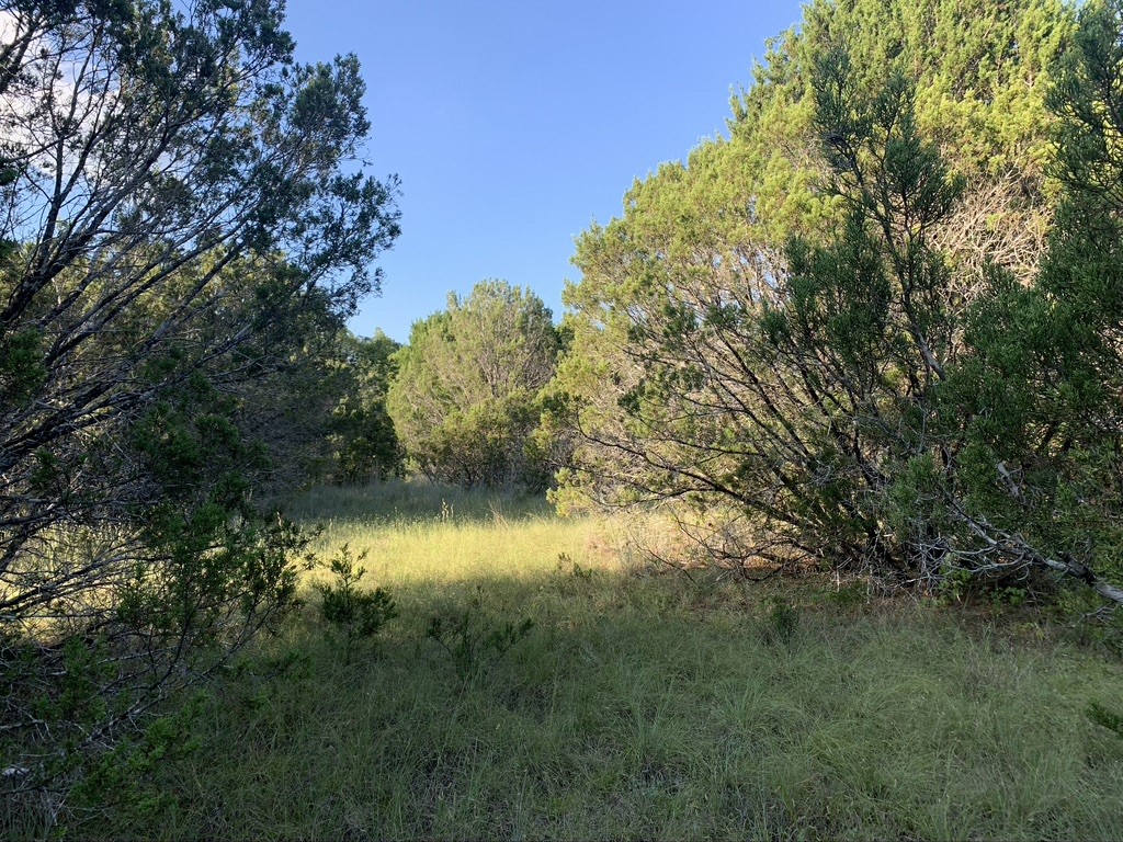 Tbd Mariner Valley Bluff Dale TX 76433