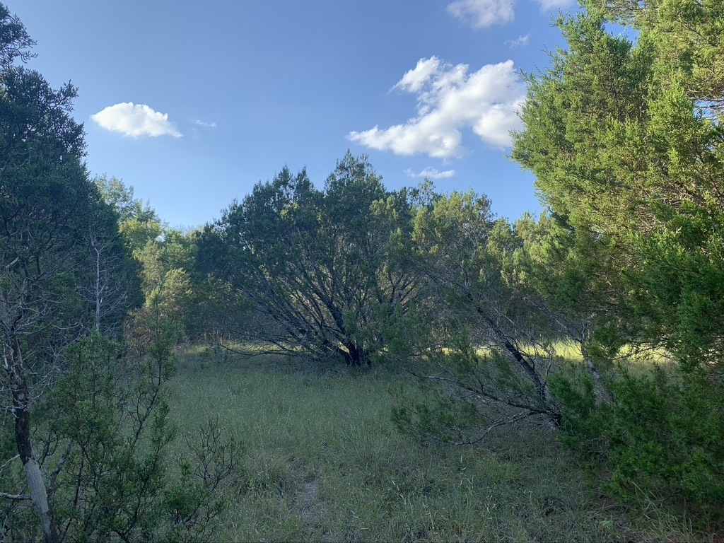 Tbd Mariner Valley Bluff Dale TX 76433