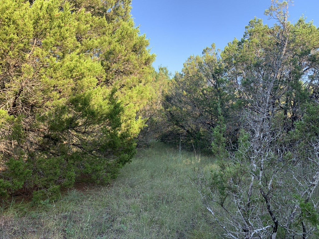 Tbd Mariner Valley Bluff Dale TX 76433