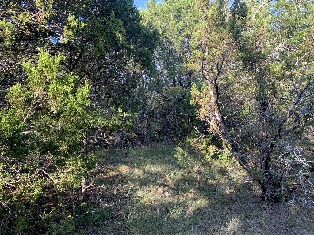 Tbd Mariner Valley Bluff Dale TX 76433