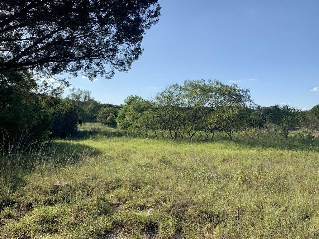 Tbd Mariner Valley Bluff Dale TX 76433