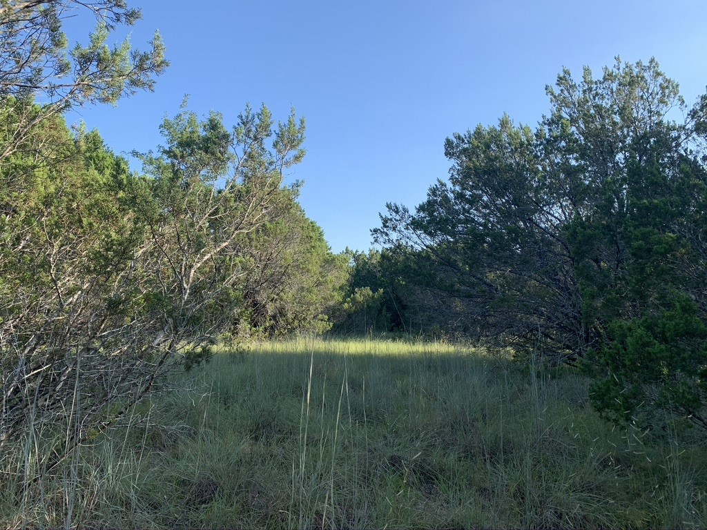 Tbd Mariner Valley Bluff Dale TX 76433