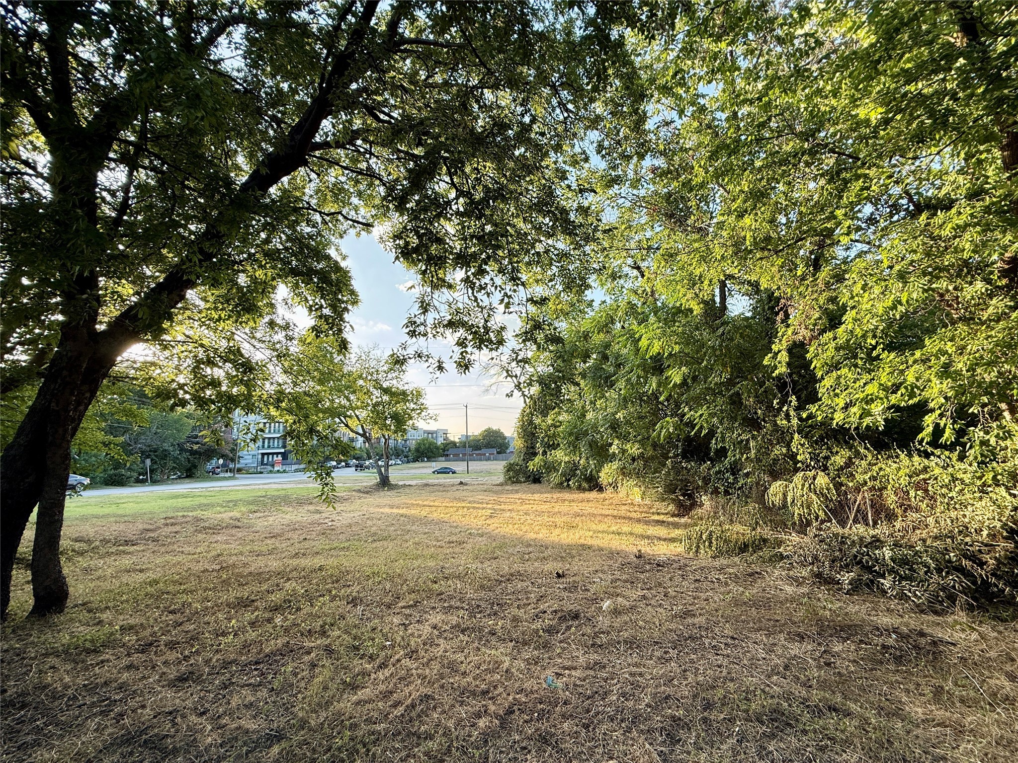 1305 Waterman Street Fort Worth TX 76102