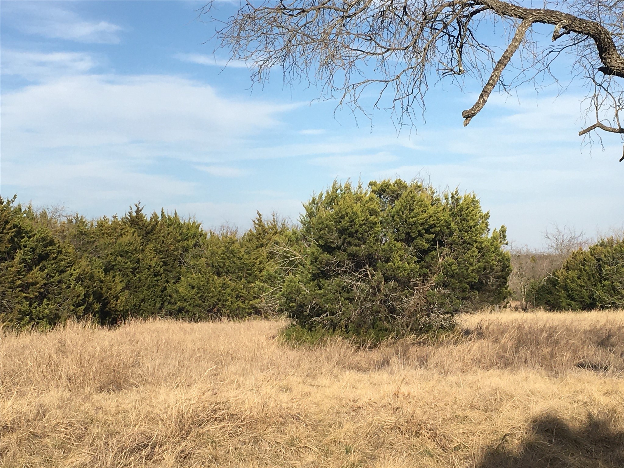 36062 Cedar Ridge Drive Whitney TX 76692