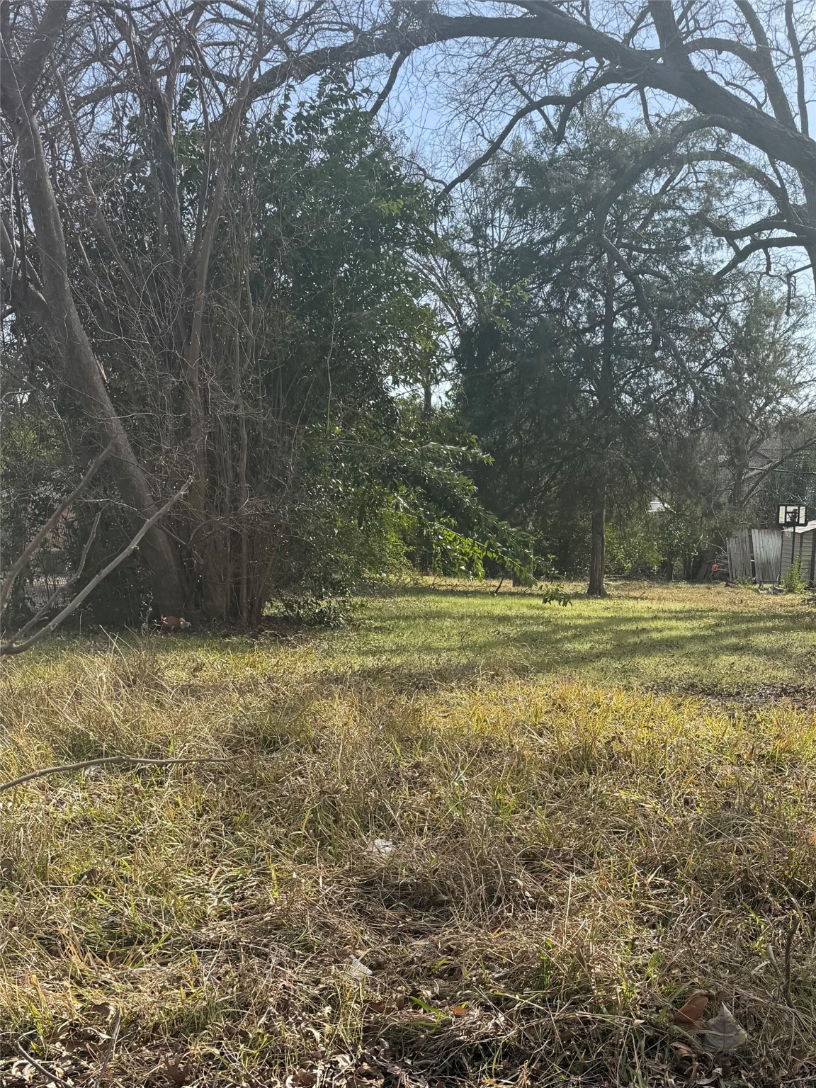 2014 Maple Avenue Waco TX 76707