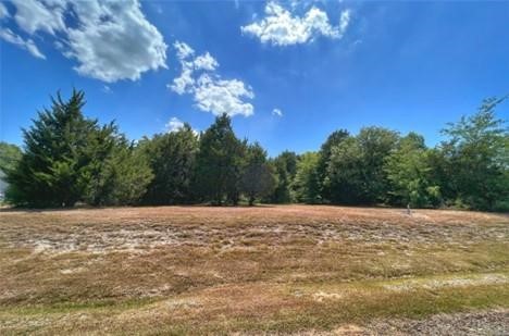 185 Cobalt Cove Corsicana TX 75109