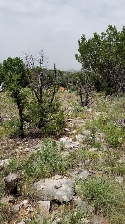 Tbd Harbour Town Drive Graford TX 76449